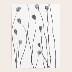 A group of poppy heads Poster