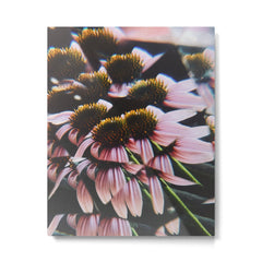 a dreamy summer solstice Metal Print