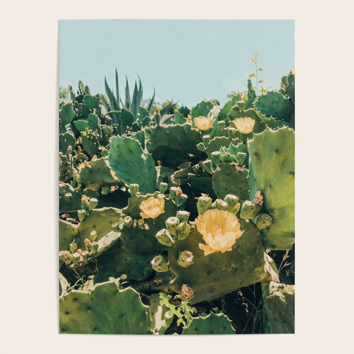 A Field of Prickly Pear Cactus Poster
