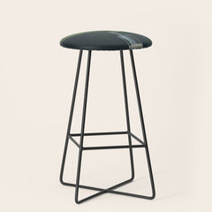 A flower in a vase Stool