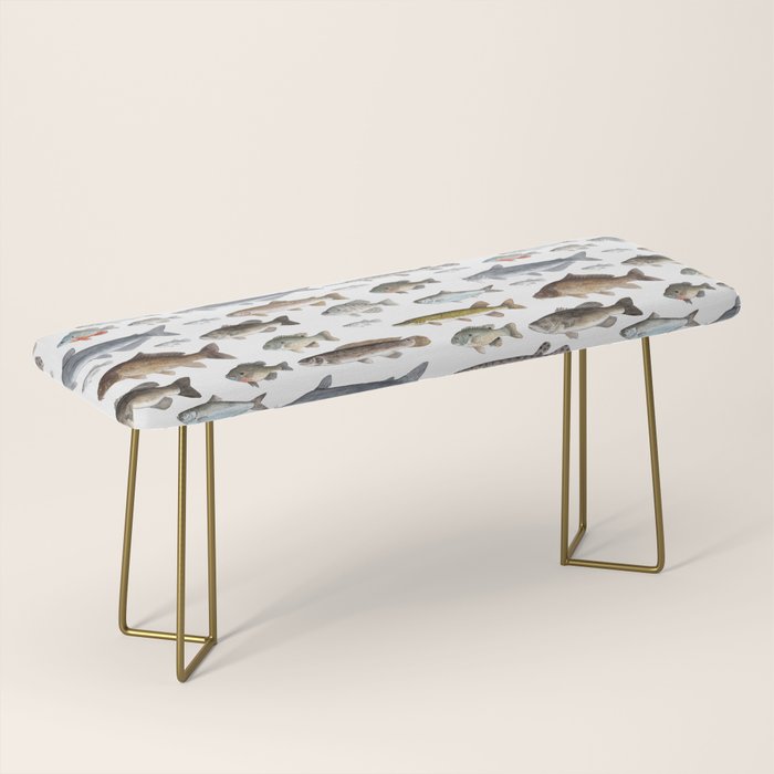 A Few Freshwater Fish Bench