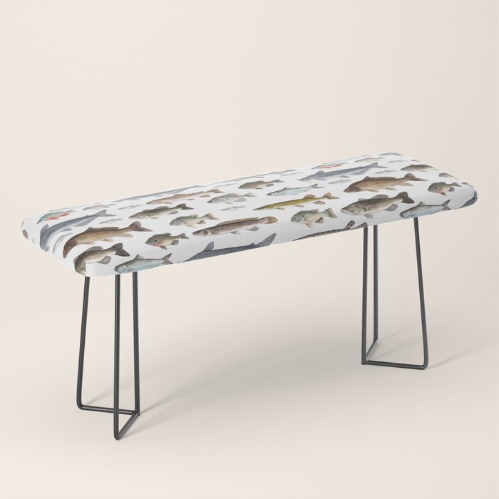 A Few Freshwater Fish Bench