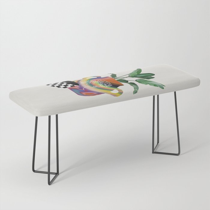 A house plant / Still life Bench