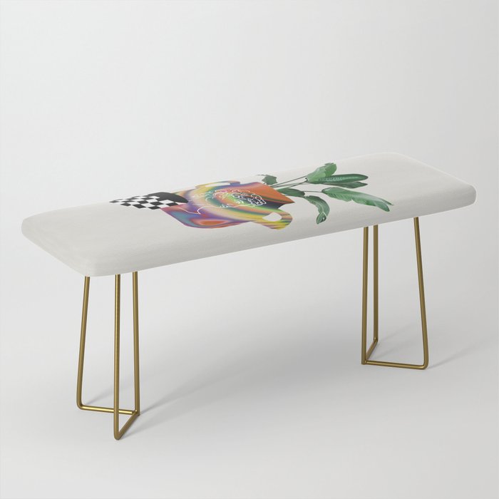 A house plant / Still life Bench