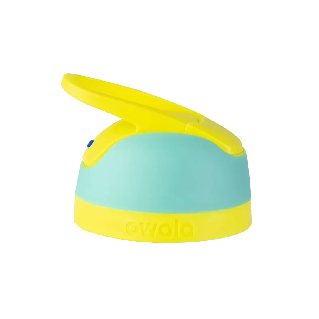 Replacement Lids