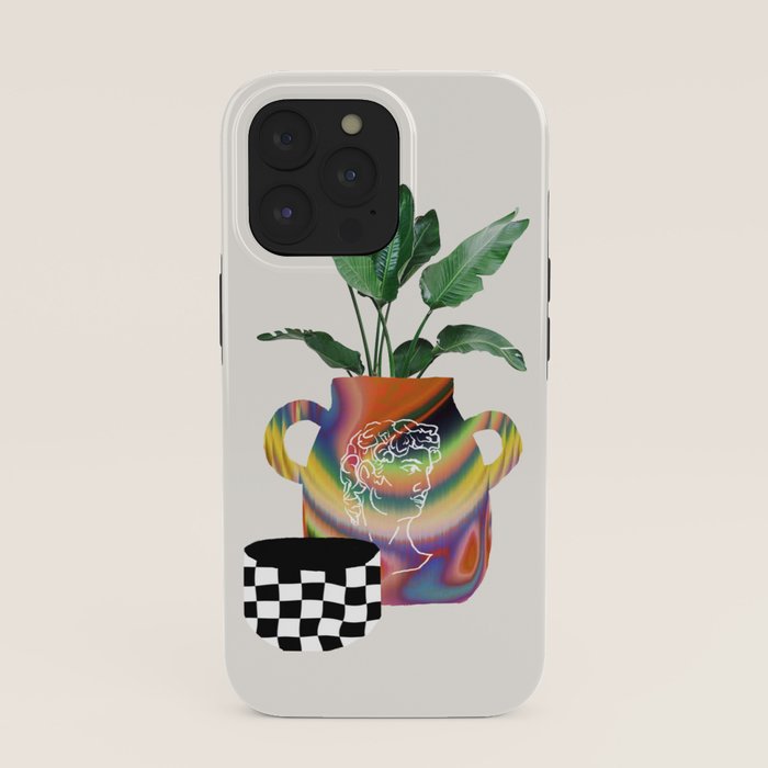 A house plant / Still life iPhone Case