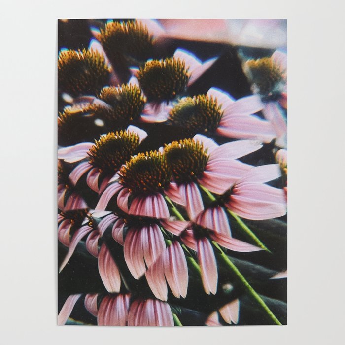 a dreamy summer solstice Poster