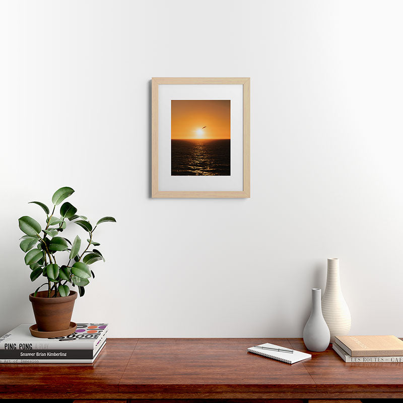 "flying solo" Framed Art Print