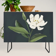 A flower in a vase Credenza