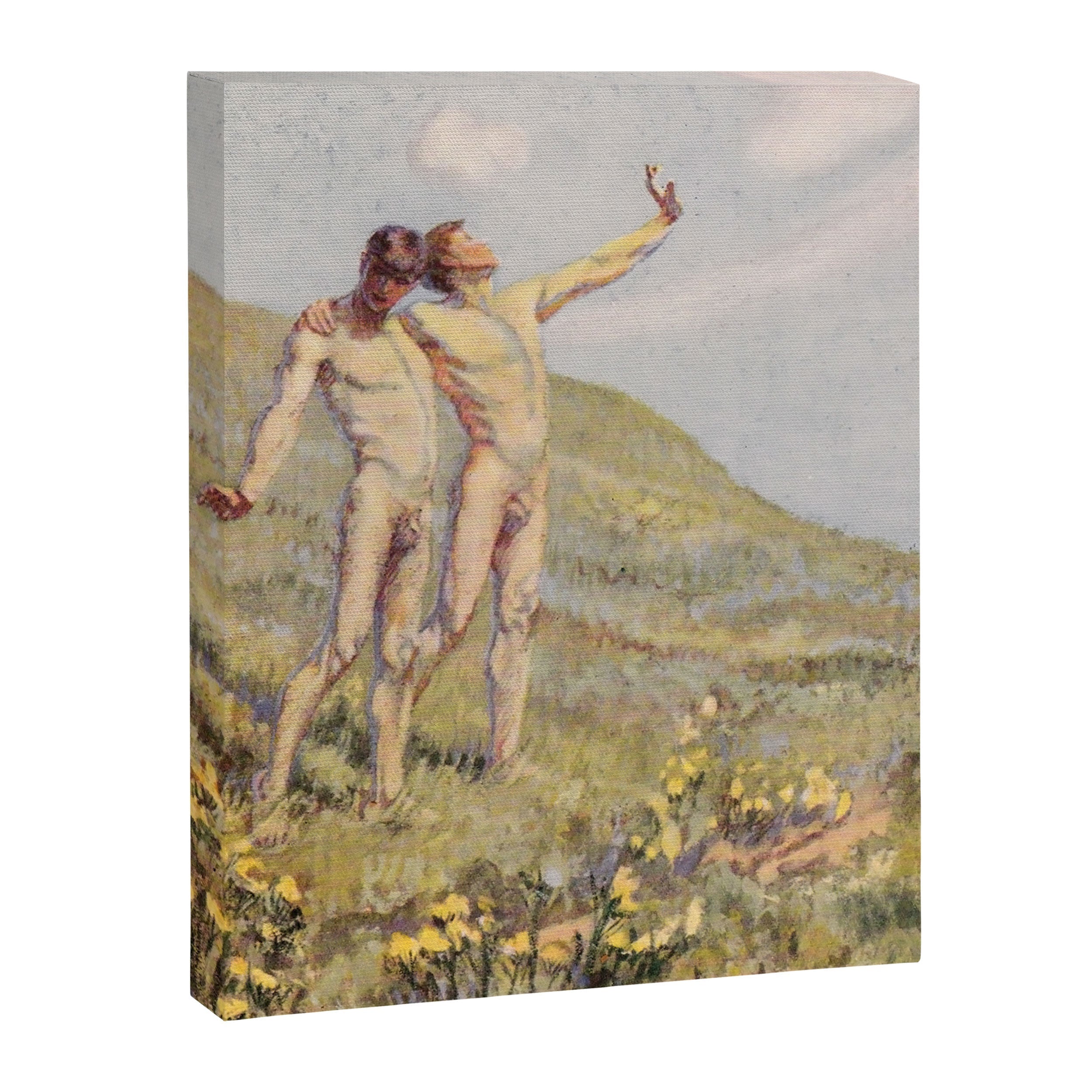 "Whose happiest days were far and away through fields, ... he and another wandering" (Margaret Cook) Canvas Print