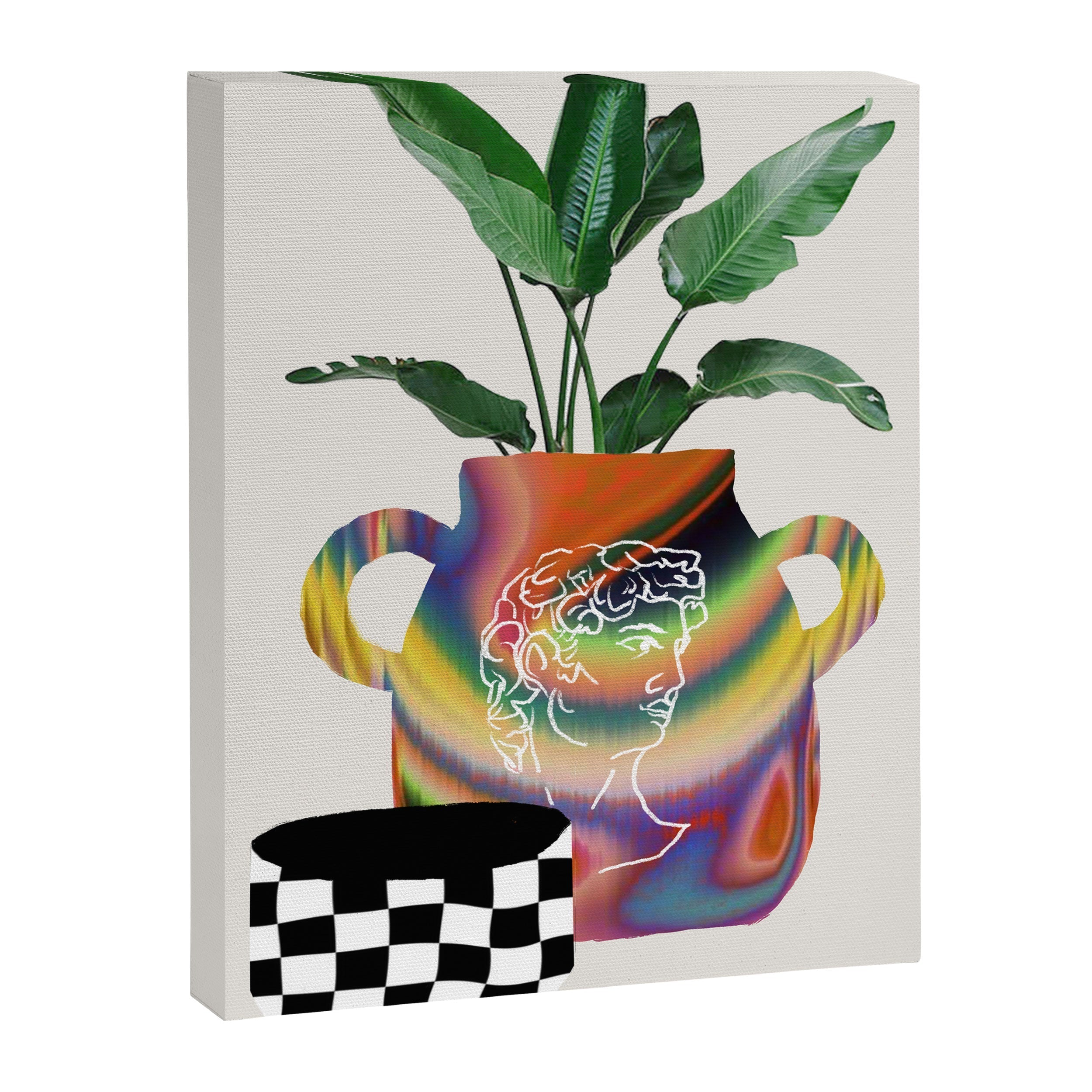 A house plant / Still life Canvas Print