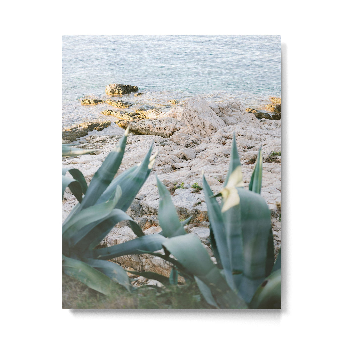 A few steps from the ocean | Fine art Croatia travel photography print | Coastal sea wall art Metal Print