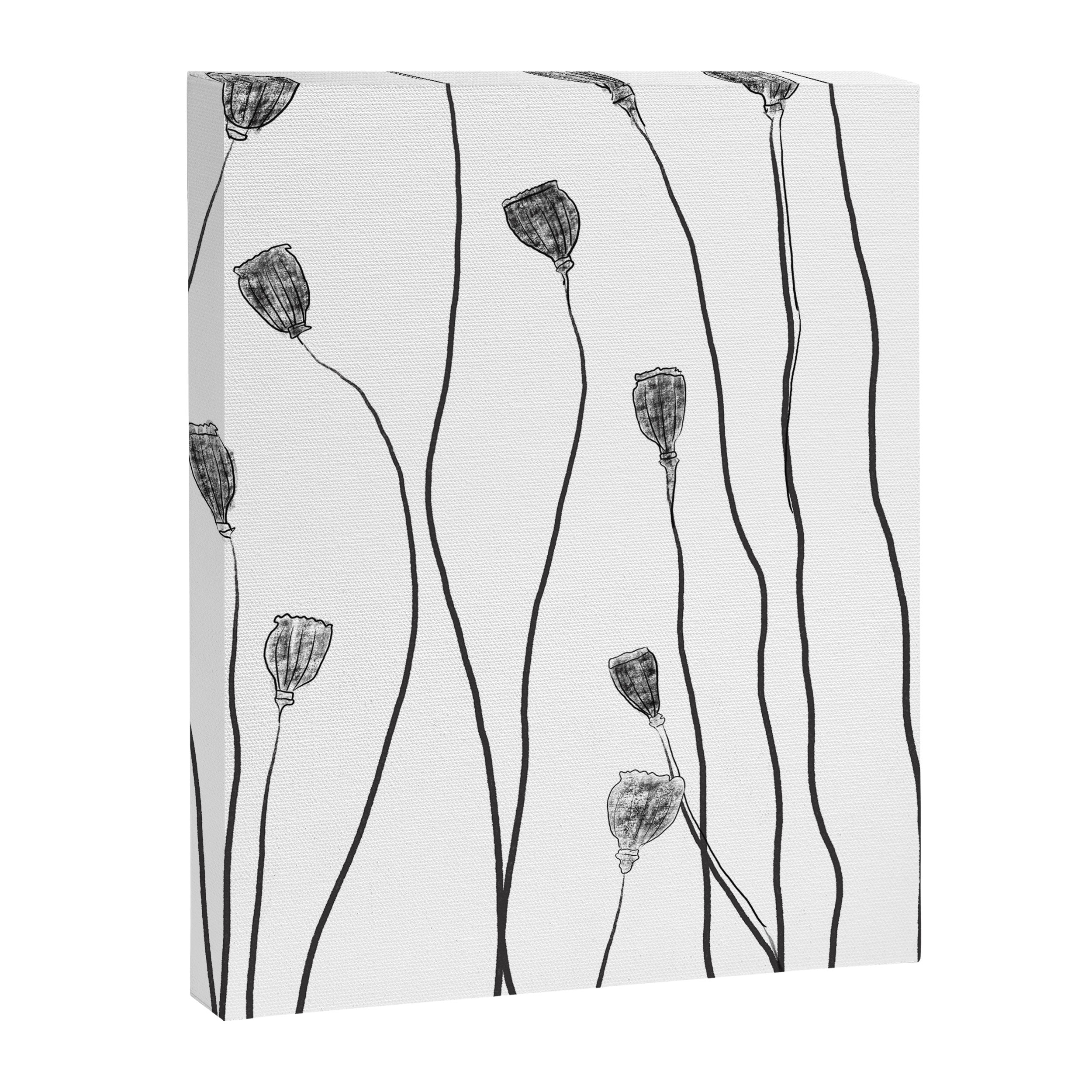 A group of poppy heads Canvas Print