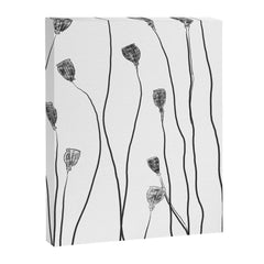 A group of poppy heads Canvas Print