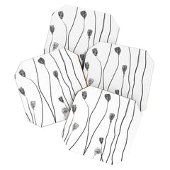 A group of poppy heads Coaster