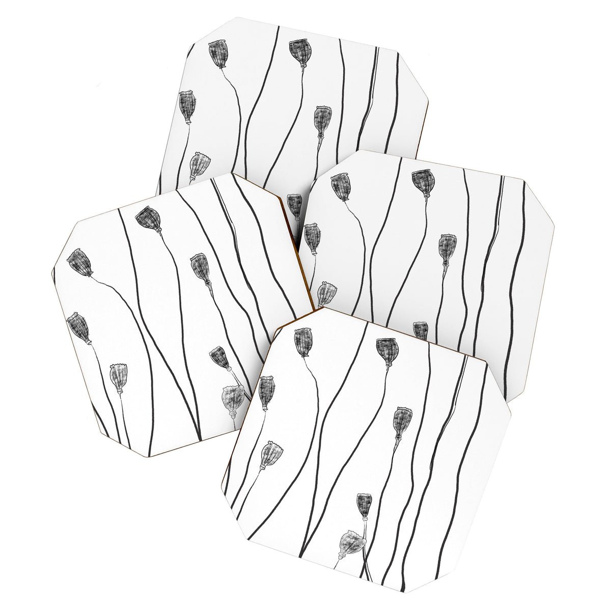 A group of poppy heads Coaster