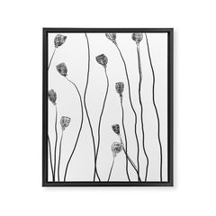 A group of poppy heads Framed Canvas Print