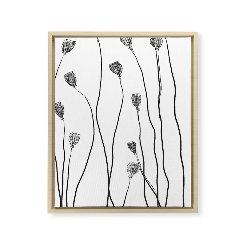 A group of poppy heads Framed Canvas Print
