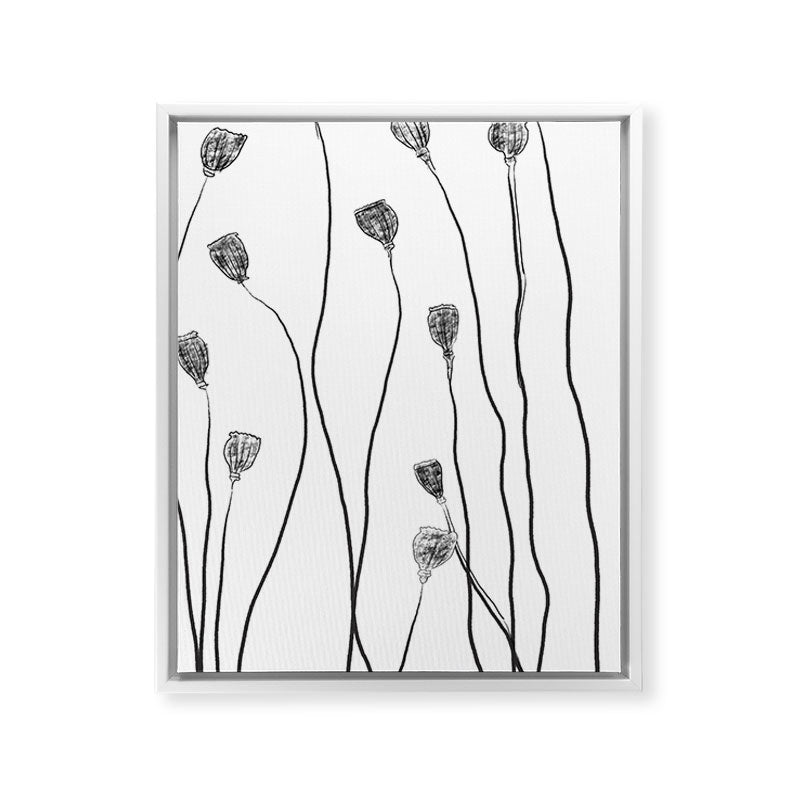 A group of poppy heads Framed Canvas Print