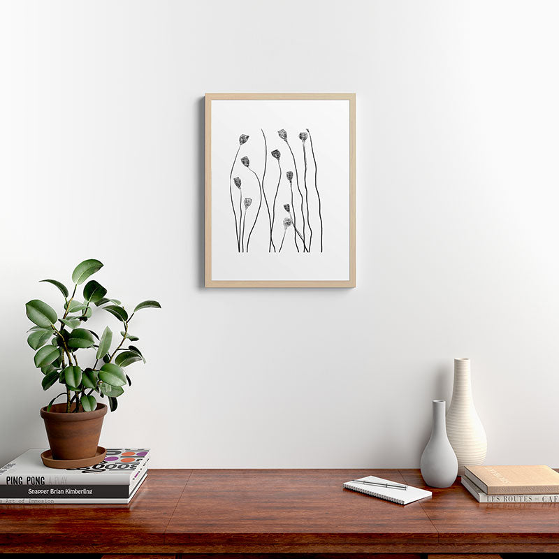 A group of poppy heads Framed Art Print