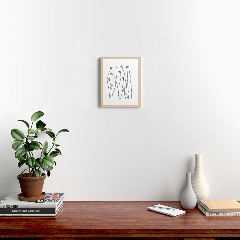 A group of poppy heads Framed Art Print