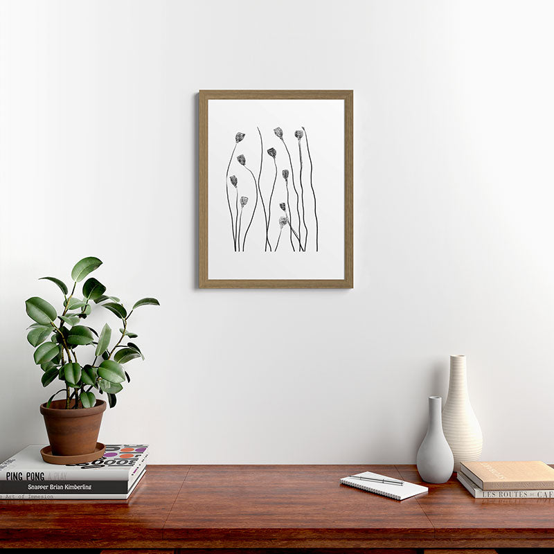 A group of poppy heads Framed Art Print