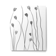 A group of poppy heads Metal Print