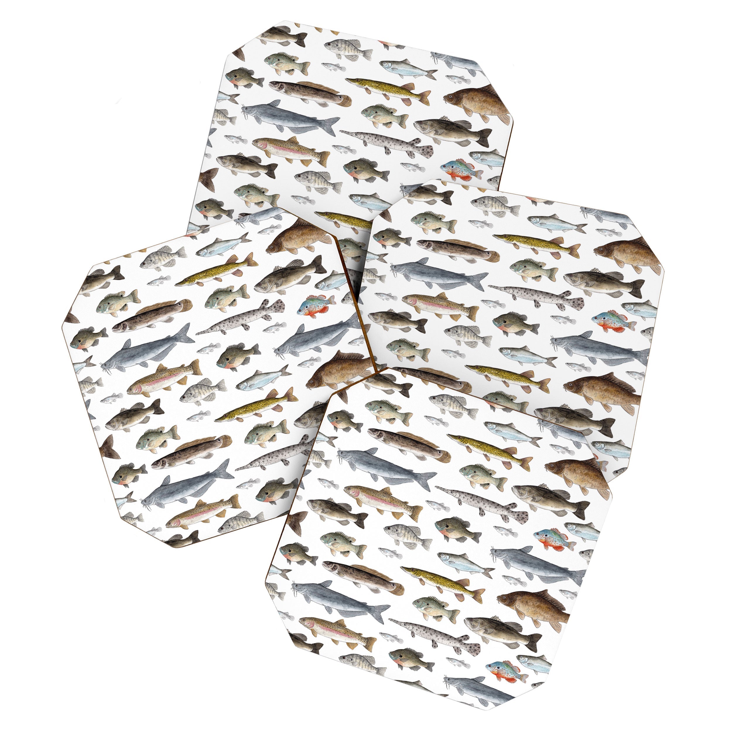 A Few Freshwater Fish Coaster