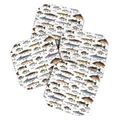 A Few Freshwater Fish Coaster