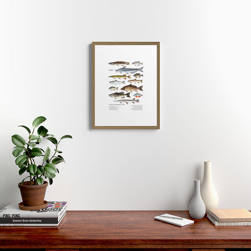 A Few Freshwater Fish Framed Art Print
