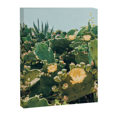 A Field of Prickly Pear Cactus Canvas Print